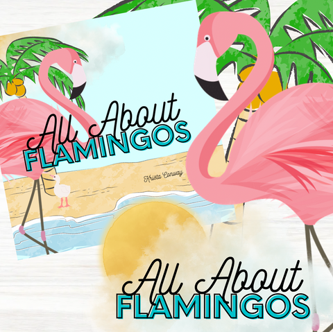 All About Flamingos